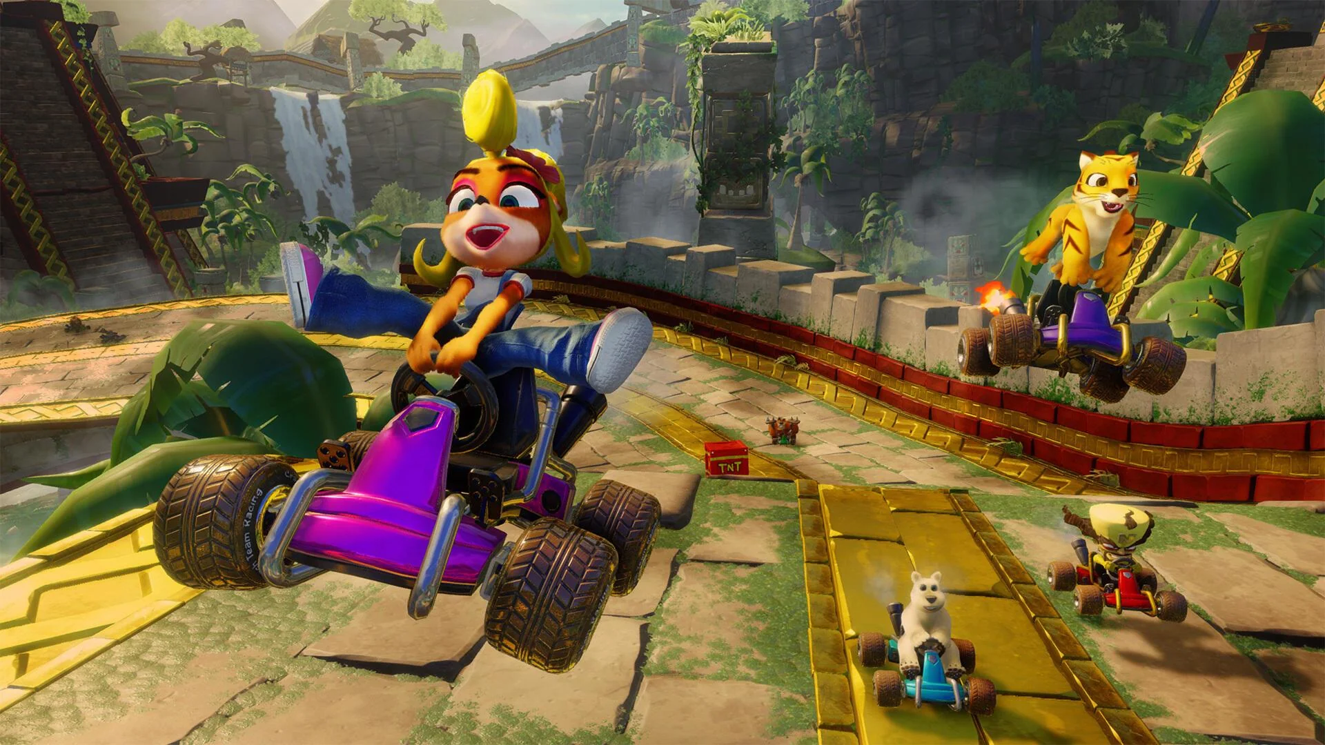Crash Team Racing Nitro-Fueled (Nintendo Switch)